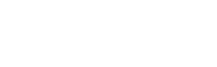 Rennwerk Carbon